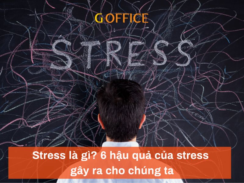 Stress là gì? 6 hậu quả của stress gây ra cho chúng ta (Phần 1)